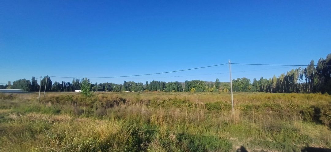 ALQUILER TERRENO 5.000 M2 . ACCESO SUR Y RUTA 7