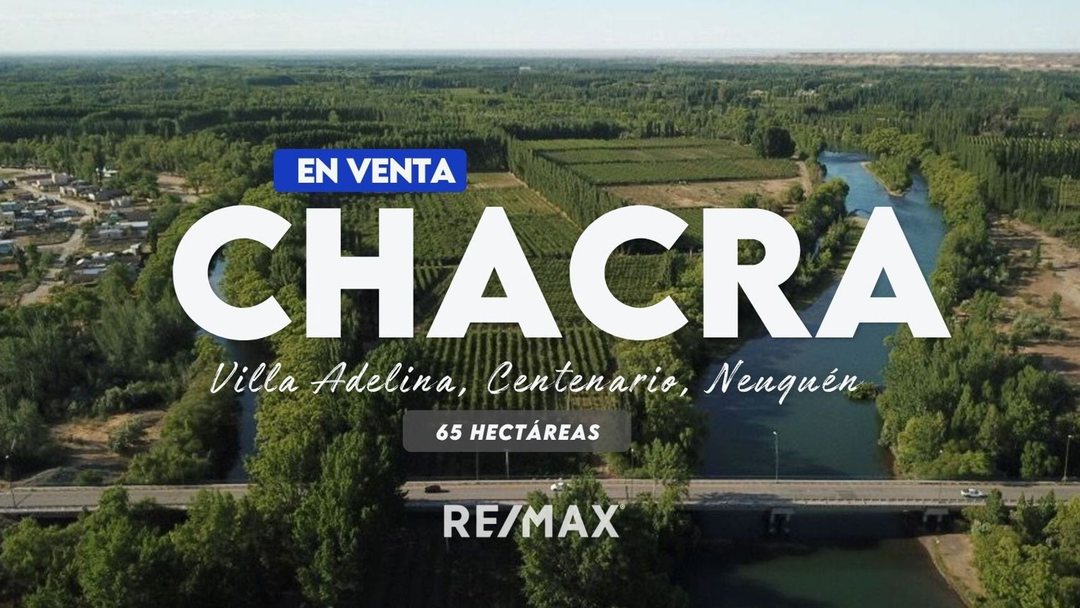 VENTA CHACRA 65 HECTÁREAS, CENTENARIO NEUQUEN
