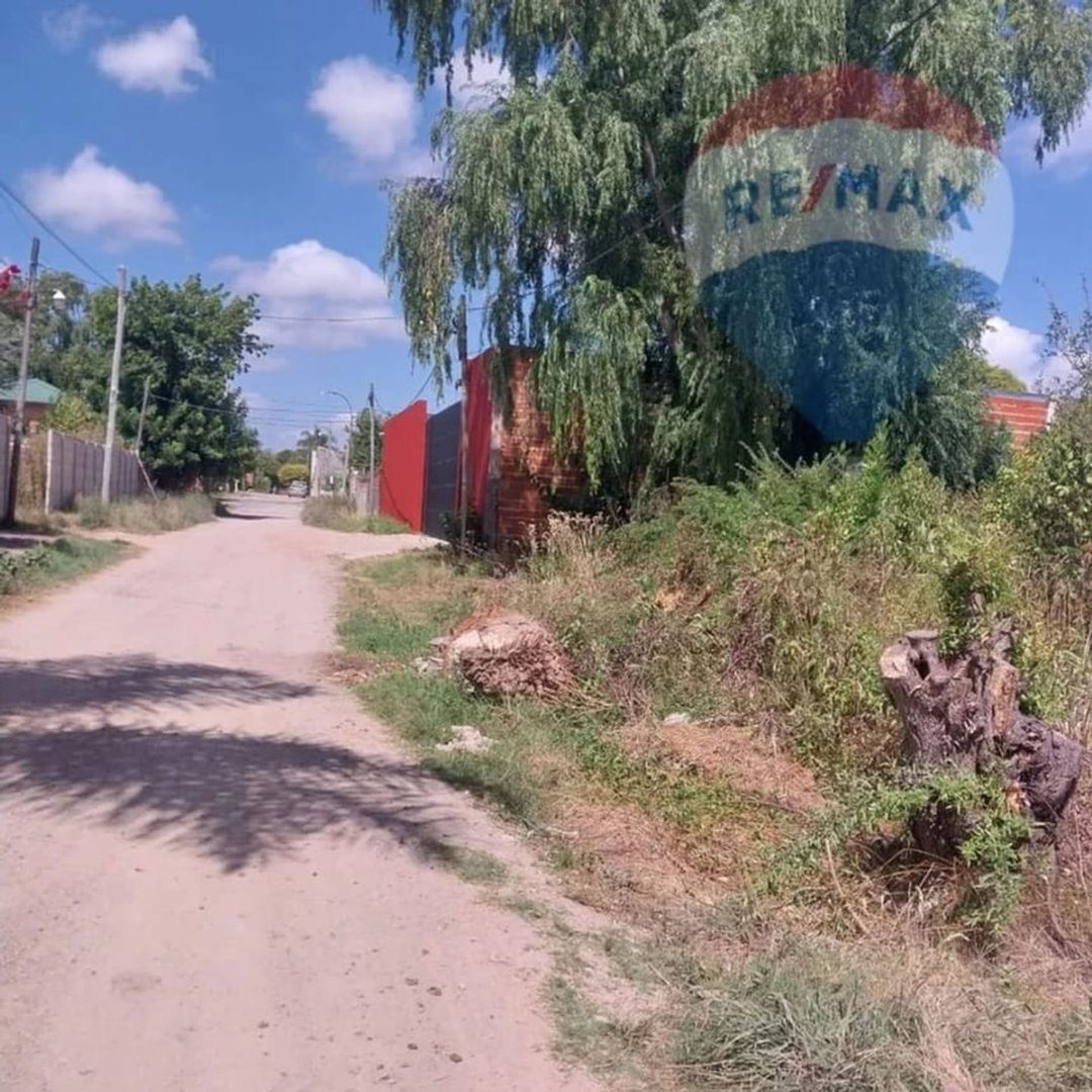 TERRENO EN VENTA 91 e/ 5 y 6. 1223,75m2