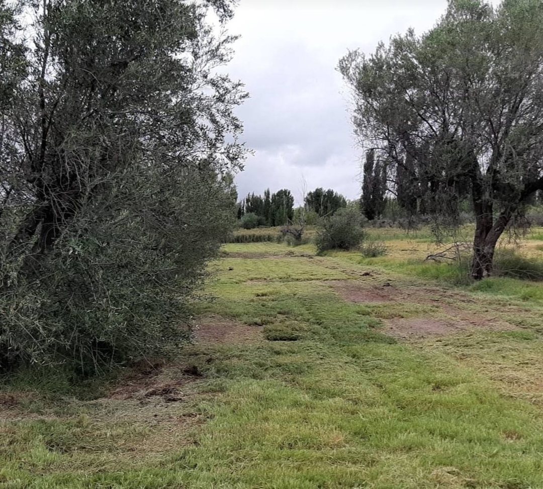 VENTA DE TERRENO FINANCIADO(4.5 HECTAREAS)EN MAIPU