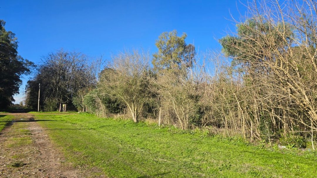 LOTE EN VENTA EN SANTA ANITA CAÑUELAS