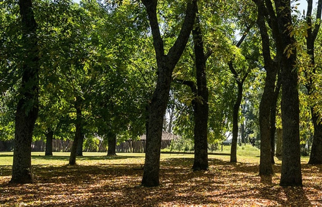 LOTE EN VENTA EN LA MAGDALENA ACEPTA FINANCIACION