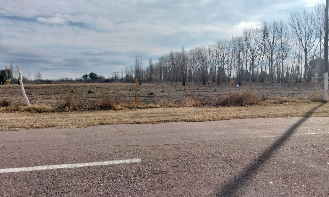 Lotes en Mendoza, General Alvear, Bowen