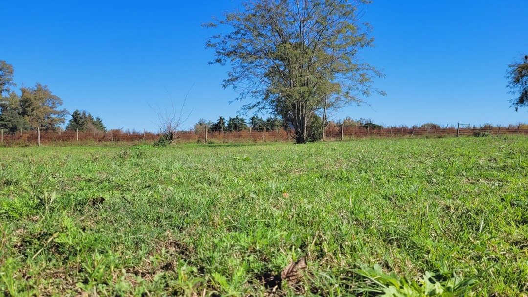 Venta Lotes en Oliveros Sup 267m2 - Lote N