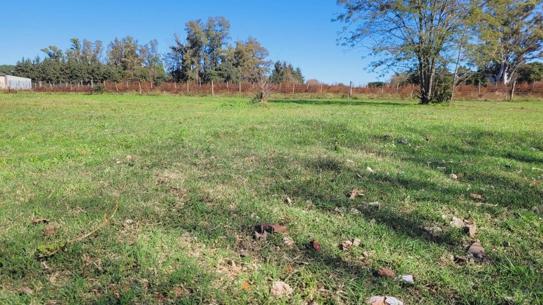 Venta Lotes en Oliveros Sup 267m2 - Lote L