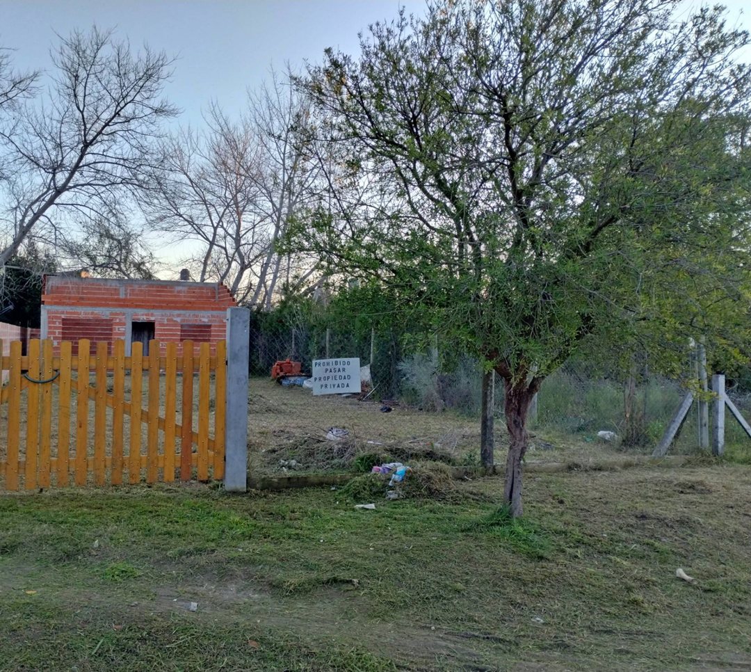 LOTE DOMSELAAR C/CONSTRUCCION zona en desarrollo