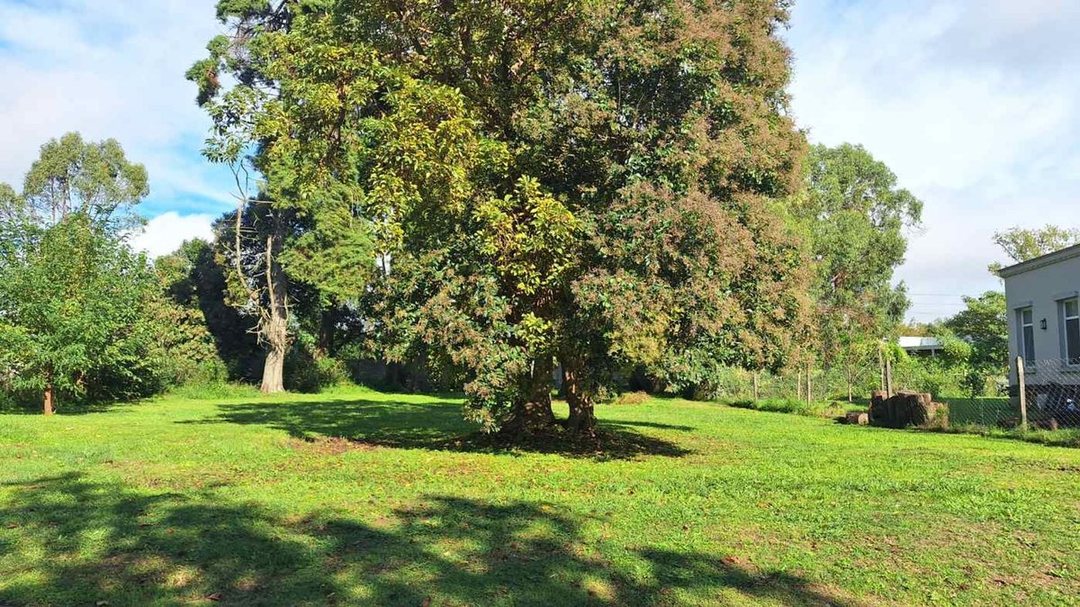 VENTA LOTE en B° SAN MATIAS AREA 3 (NE)