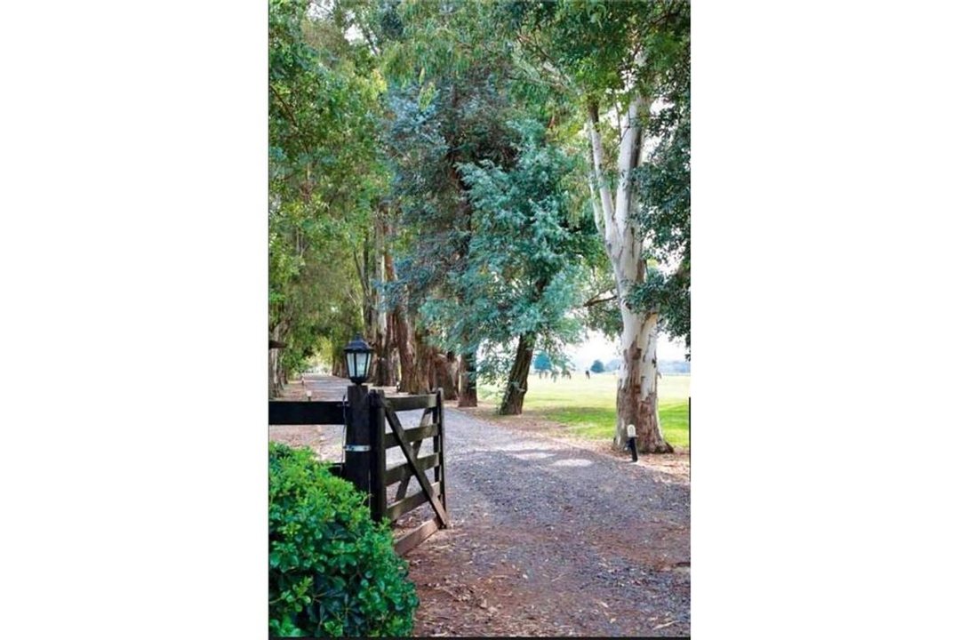 LOTE EN VENTA EL CAMPO FINCAS EXCLUSIVAS CARDALES