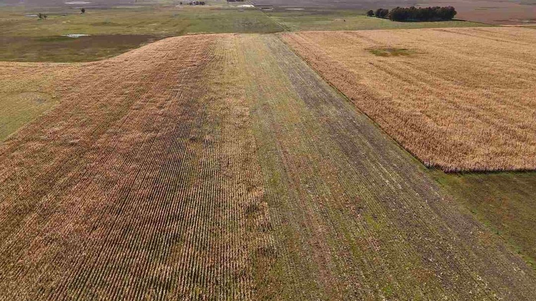 CAMPO EN VENTA  RAUCH