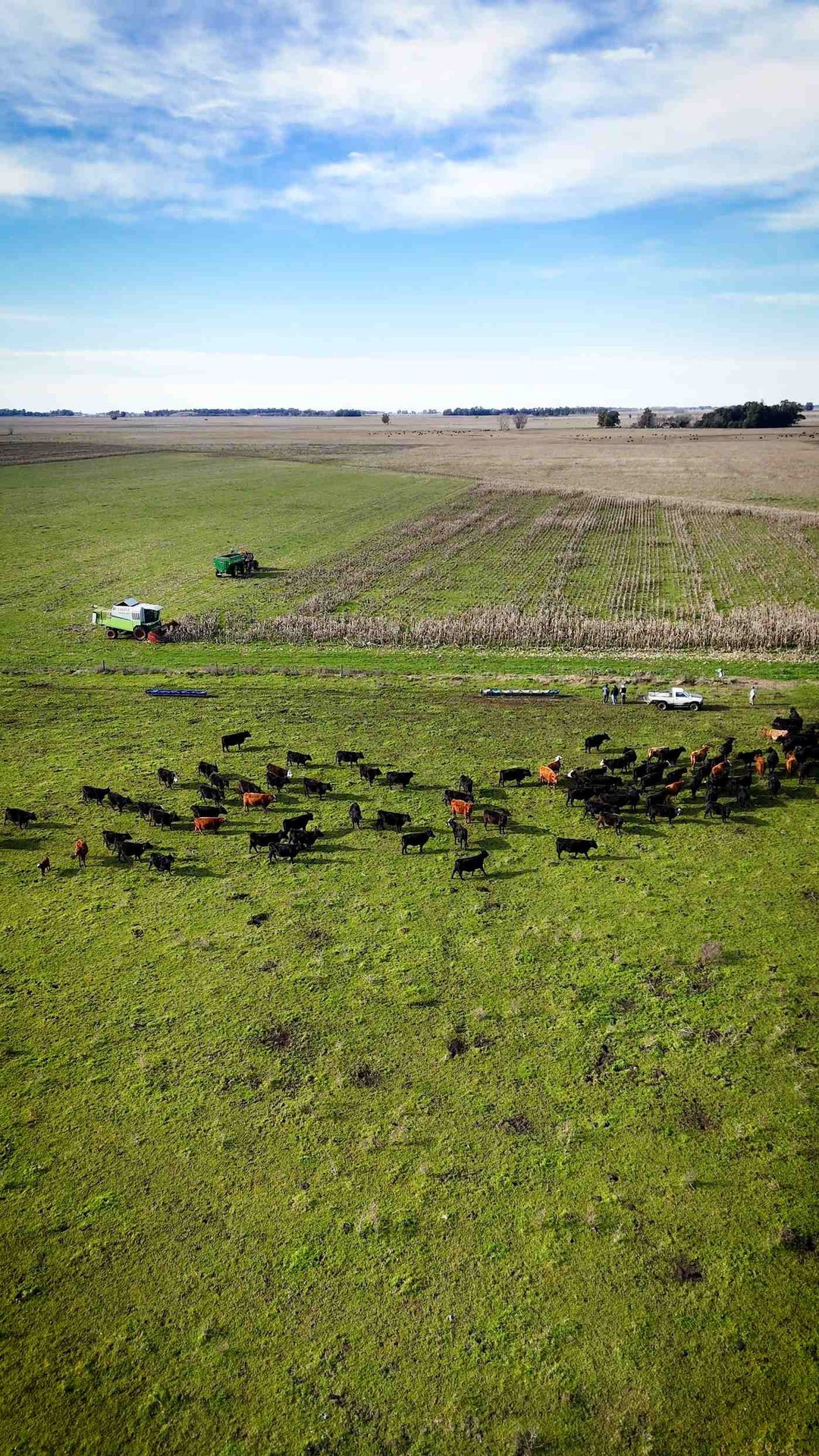 CAMPO EN VENTA EN RAUCH