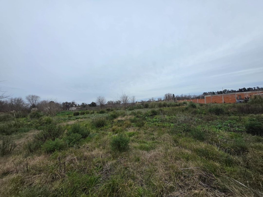 VENTA x4 LOTES 1279m2 GRAL RODRI IDEAL CASA QUINTA
