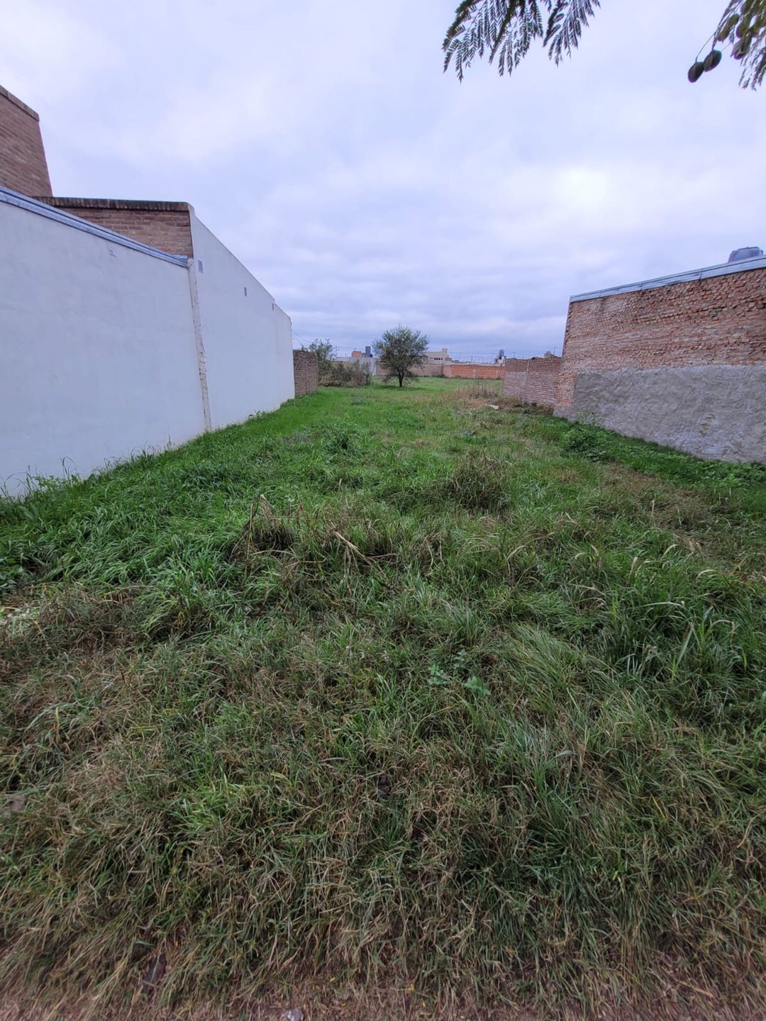 SE VENDE TERRENO EN SANTO TOMÉ