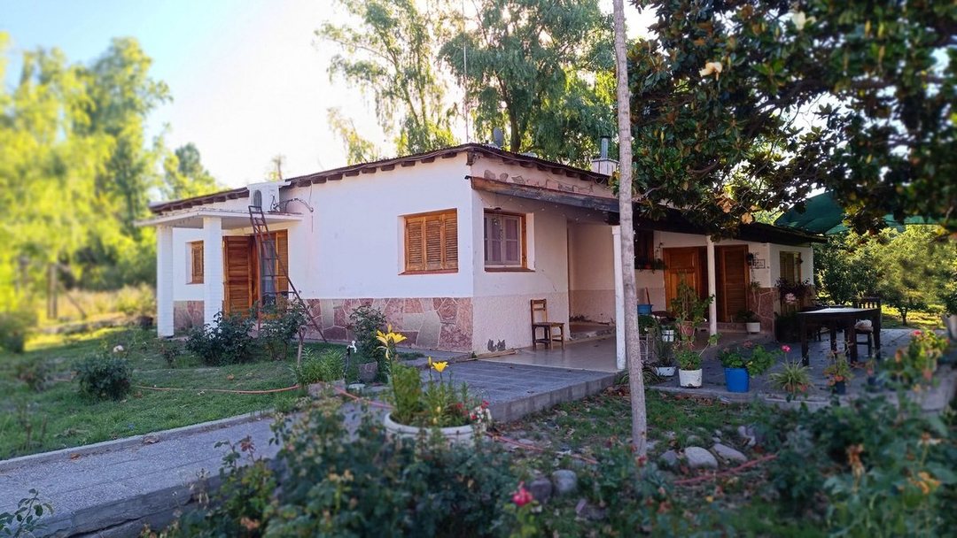 FINCA 11,5 HAS. EN COLONIA LAS ROSAS - TUNUYÁN