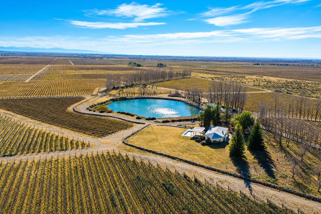 Finca en Venta 150 ha – Valle de Uco, Mendoza
