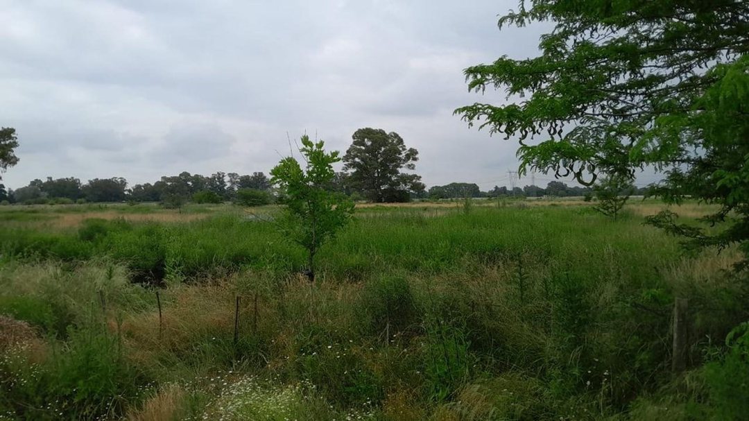 Venta Lote de 38.250 m²