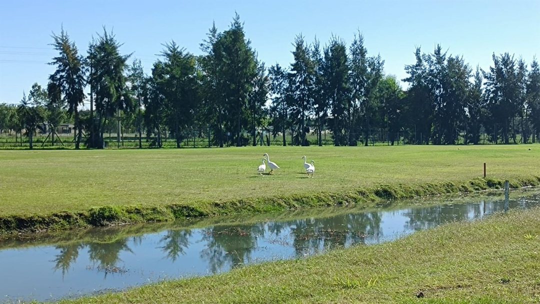 LOTE VENTA HARAS DEL SUR III VISTA AL GOLF 1000m