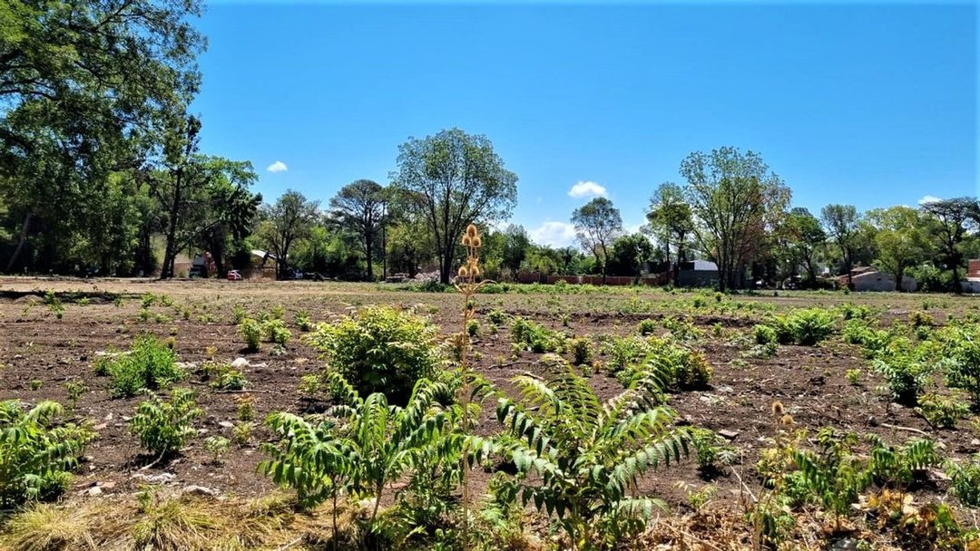 Lote 437 m2 en Venta Barrio El Remanso Del Viso