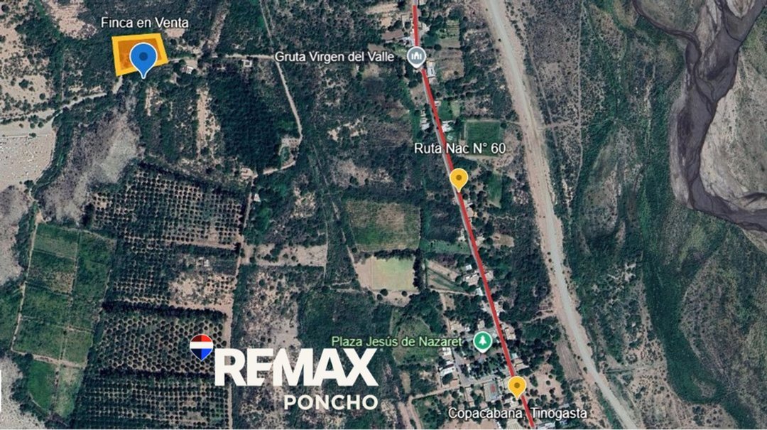 SE VENDE FINCA CON BODEGA, CAVA Y PARRAL 7083 M2