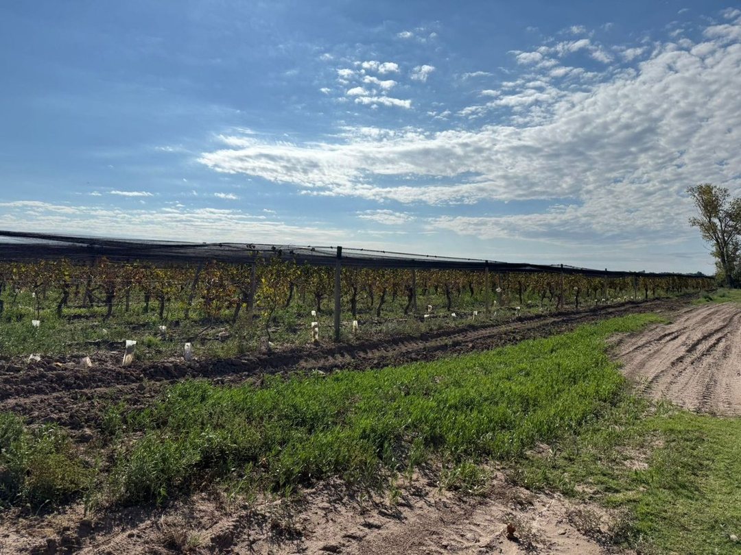 VENTA FINCA EN SANTA ROSA CON POZO