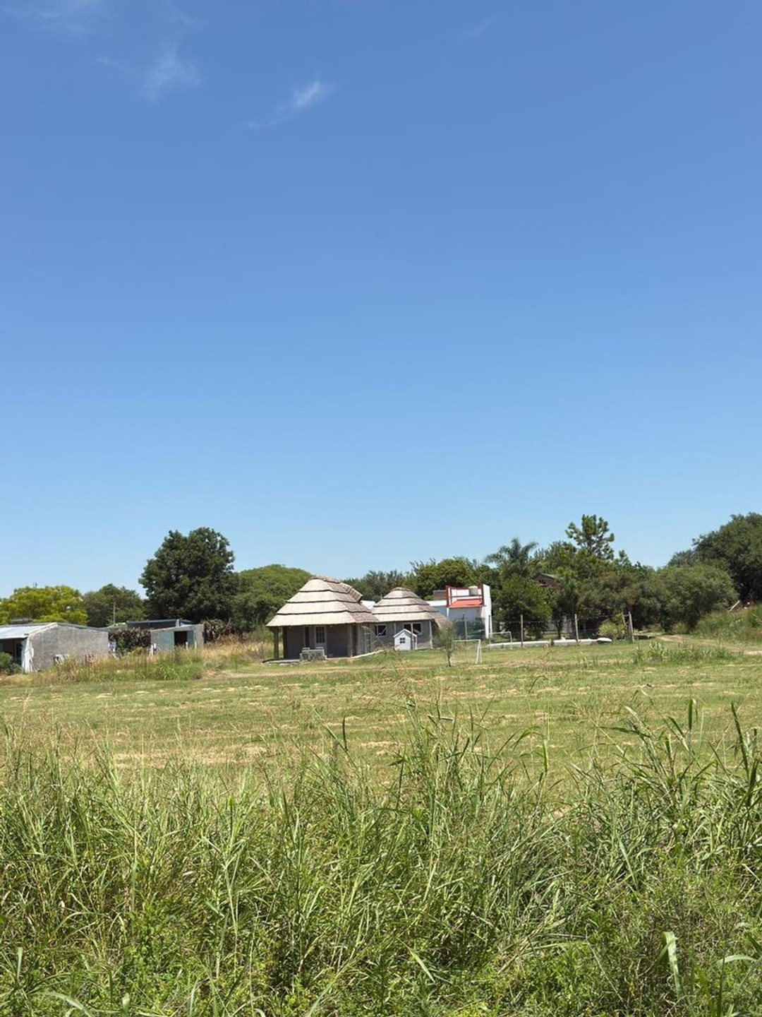 VENTA DE LOTES EN FELICIA