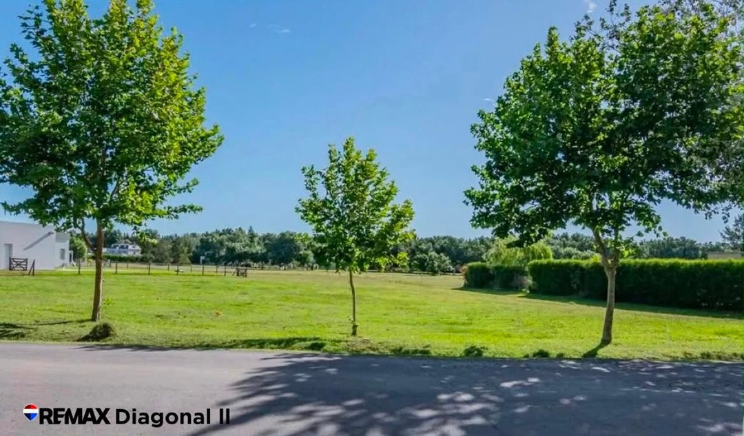 Haras del Sur II