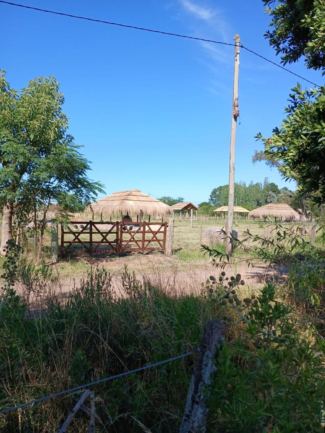 Lote de 992 M en Rodríguez, zona de campo