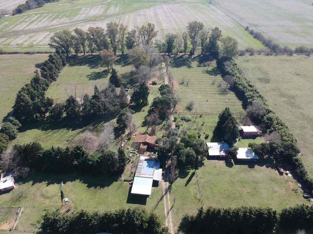 Venta Chacra 5,5 Ha con Casas y Caballerizas