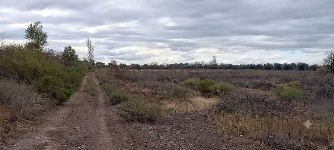 Venta Terreno Inculto San Martin con pozo