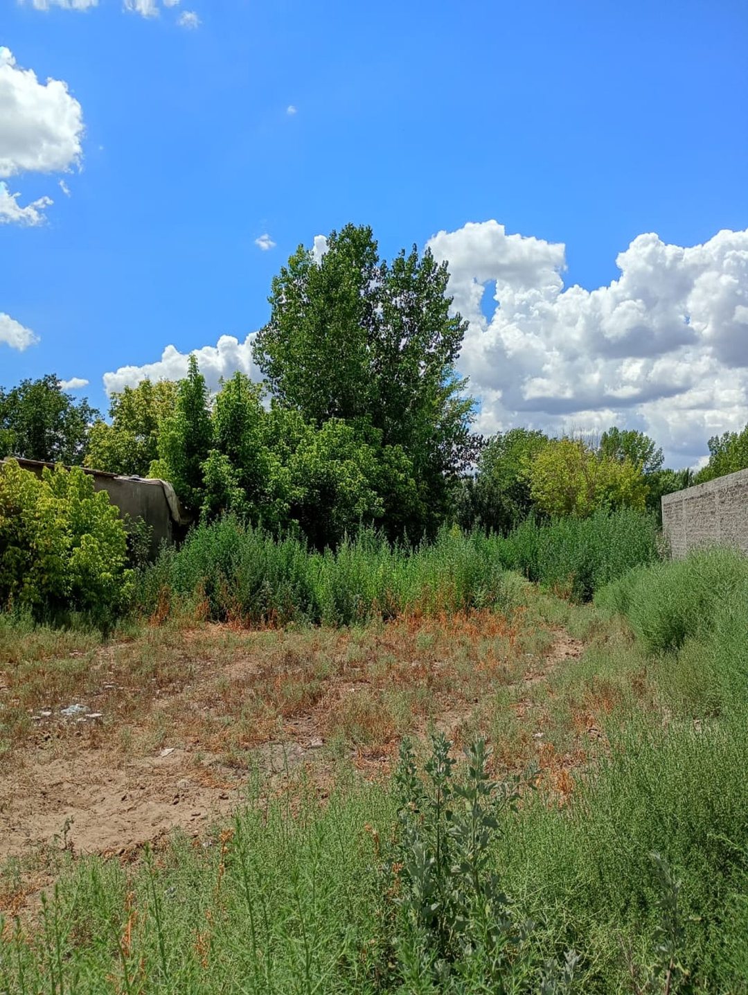 OPORTUNIDAD TERRENO DE 2170 M2 EN VENTA - TUNUYÁN