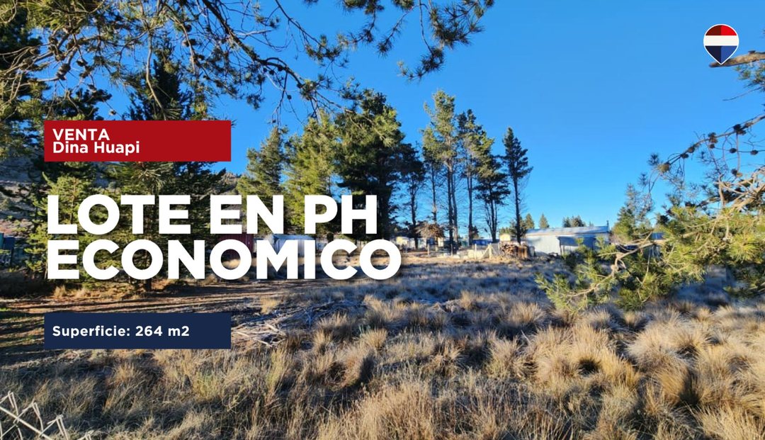 Lote en PH económico Dina huapi - Dina hue