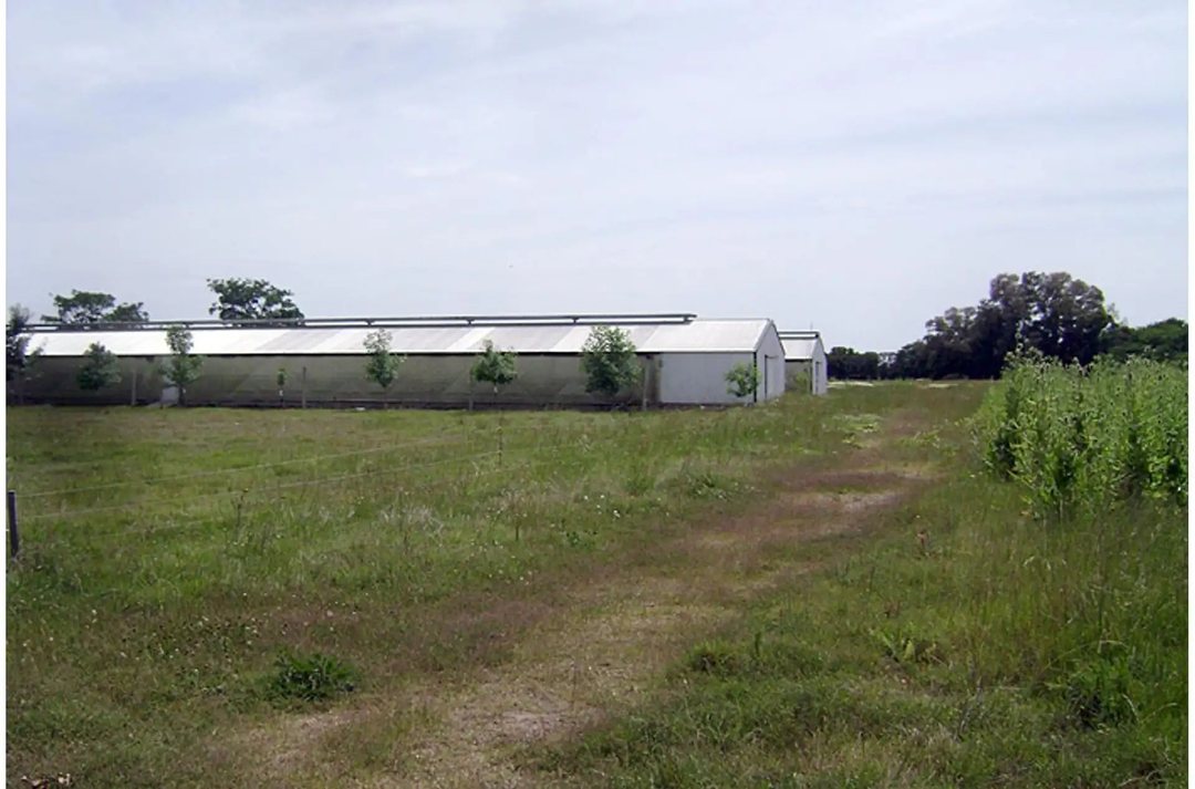 Campo en venta San Andres de Giles