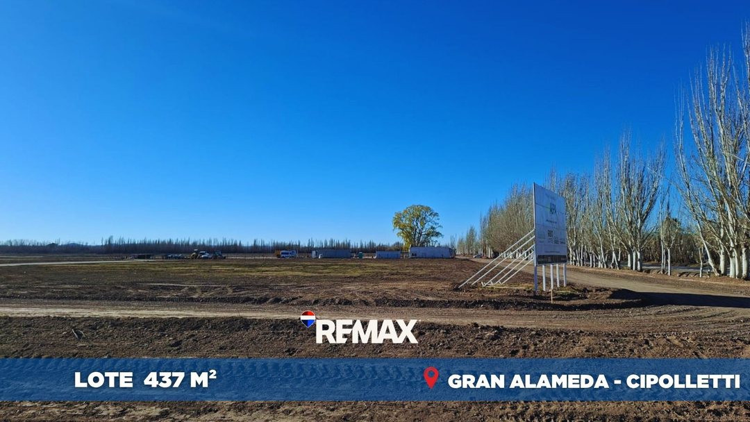 VENTA LOTE GRAN ALAMEDA CIPOLLETTI 437M2