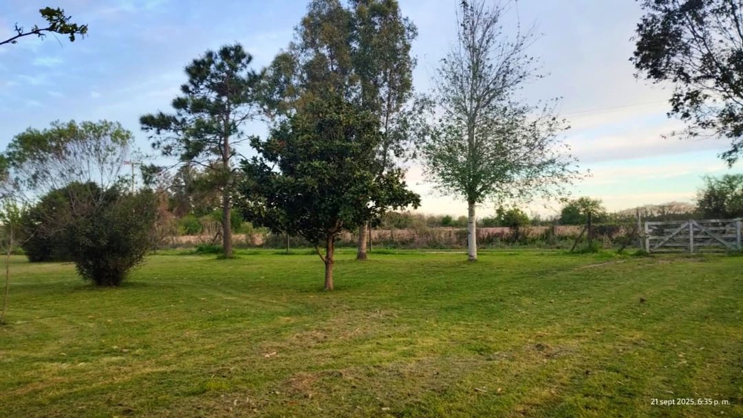 TERRENOS / LOTES EN VENTA OLIVEROS 1250 m2
