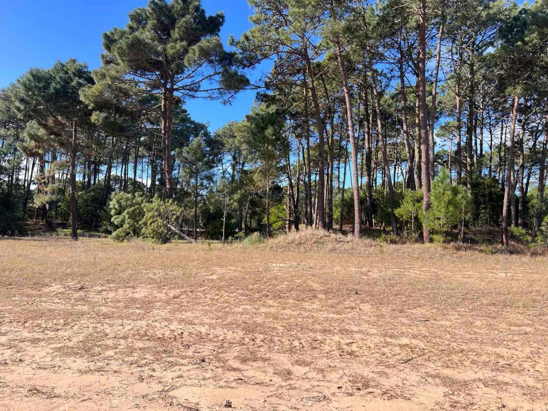 LOTE EN VENTA BARRIO BOSQUES PINAMAR NORTE