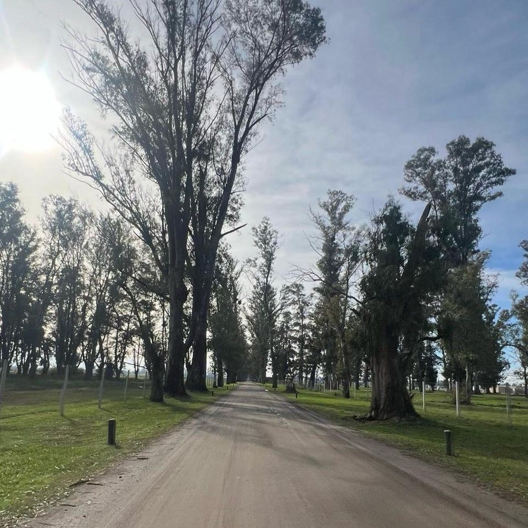 VENTA LOTE BARRIO LA ISABEL TRES PINOS