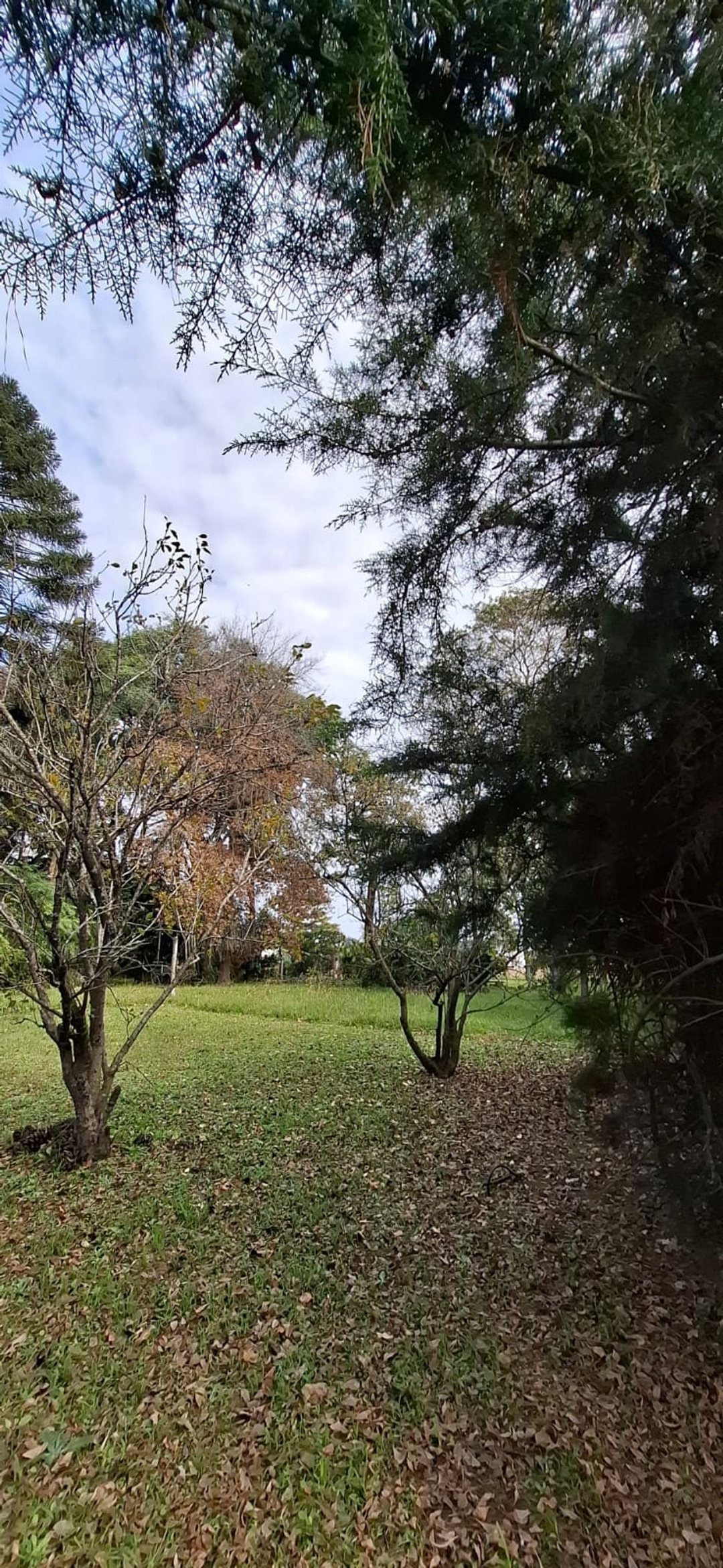 Venta Terreno Barrio Anahí 650m2