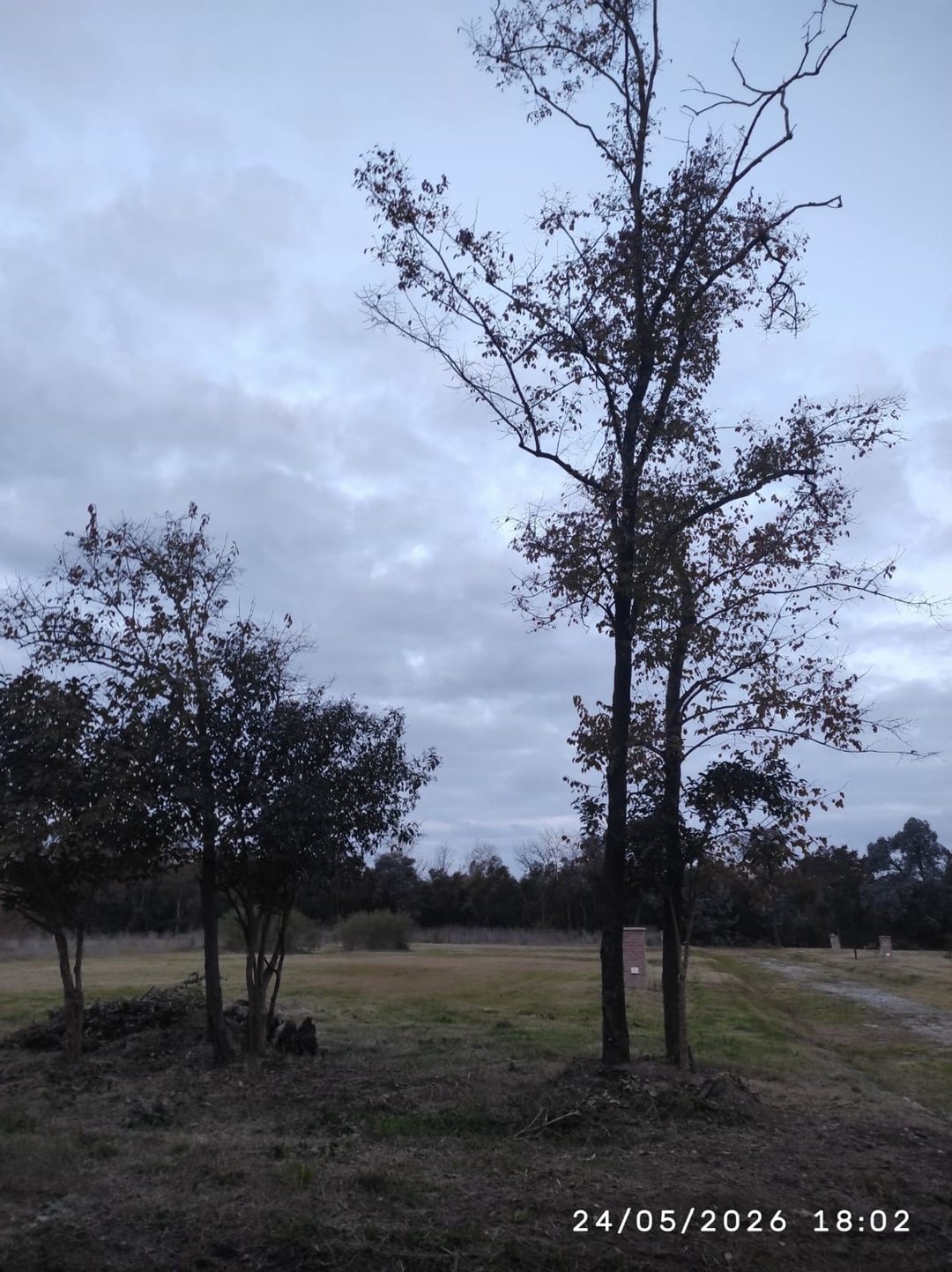 VENTA DE LOTE DE 800 M2 EN ECO ALDEA