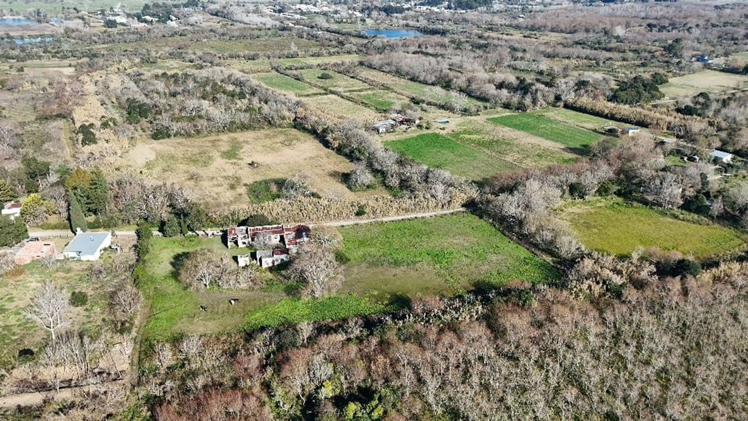 VENTA CAMPO DE 6,14 HAS EN LOS TALAS -BERISSO