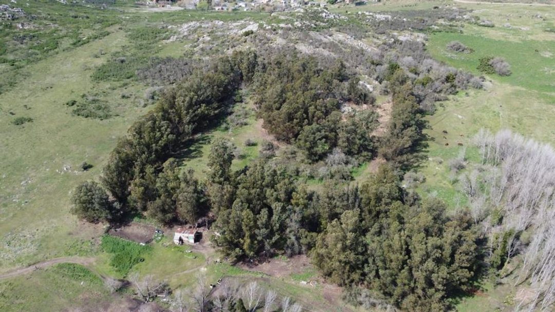 HECTAREAS EN VENTA CERRO LOS NOGALES TANDIL