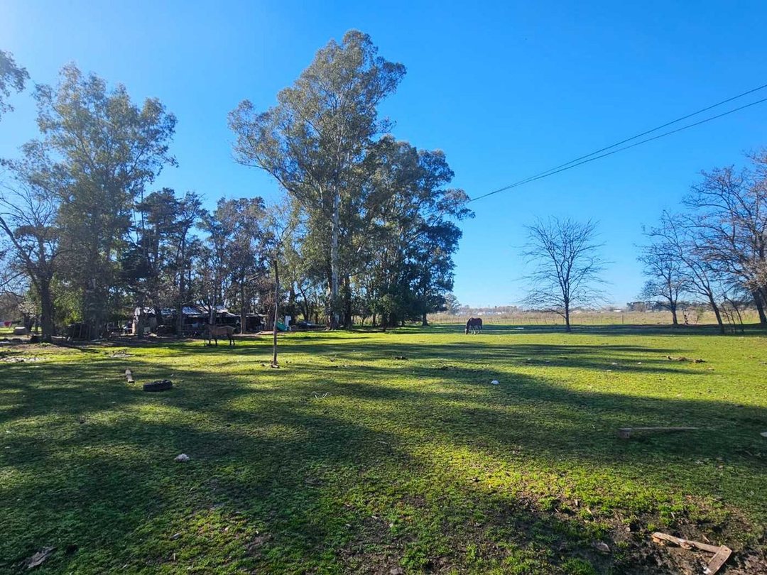 VENTA CAMPO 4,5 HECTAREAS EN SAN VICENTE FINANCIA