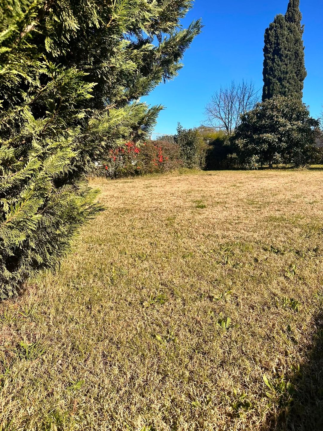 Venta lote 350m2 con excelente ubicación en Roldan