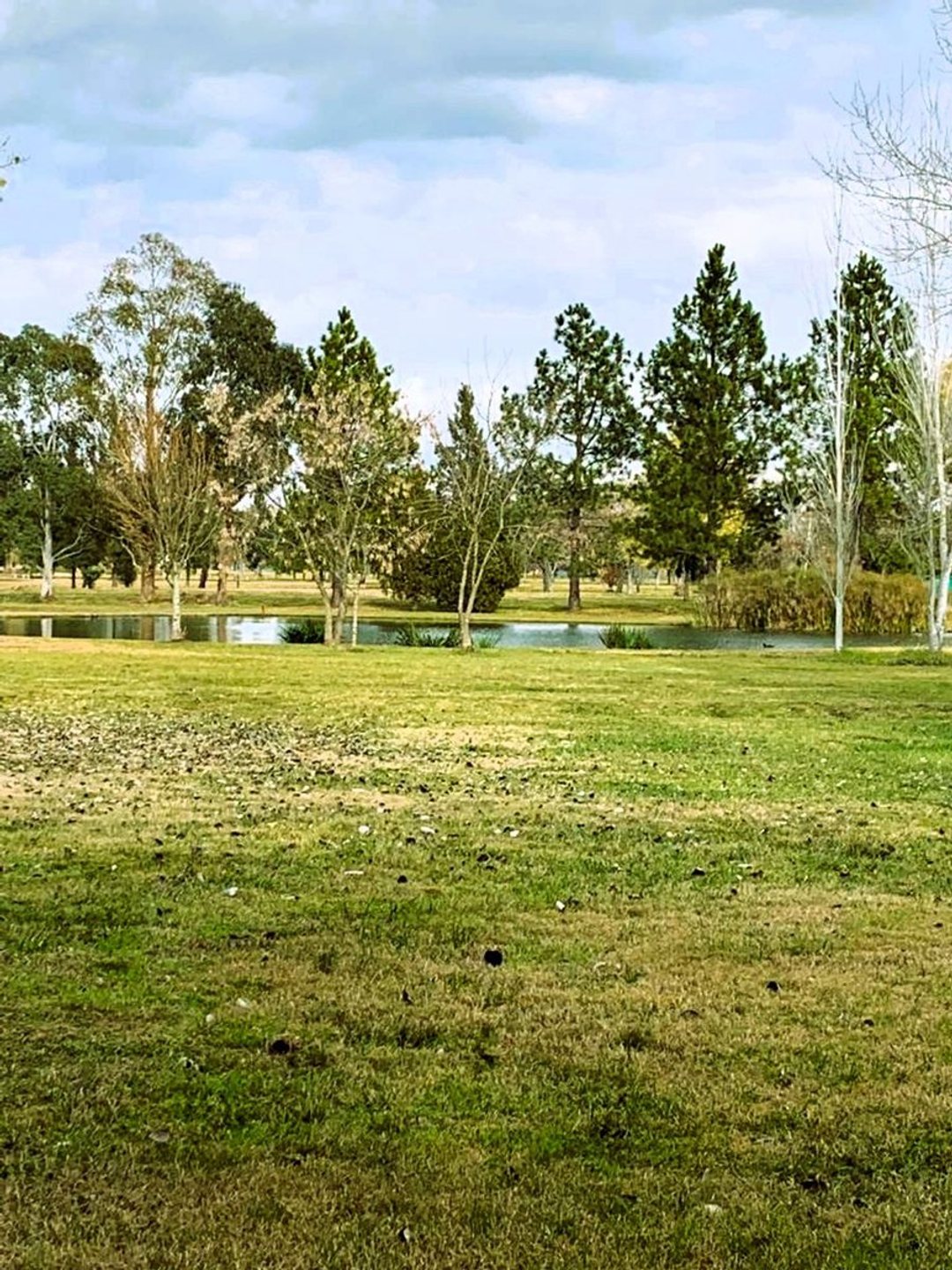 Lote en Venta Miralagos 2