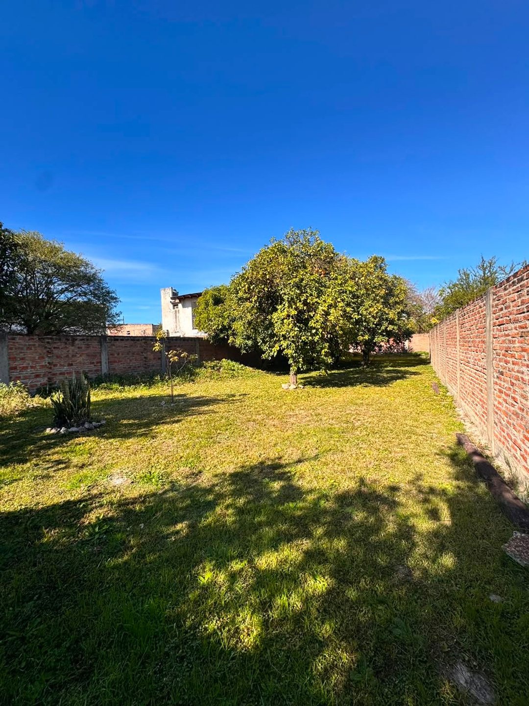 TERRENO EN VENTA EN EL CENTRO DE GOYA