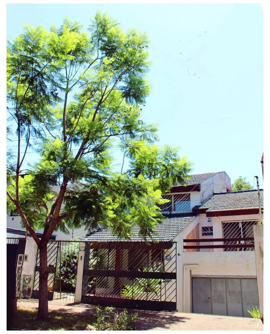 Venta casa 10 ambientes con Florida Vicente Lopez