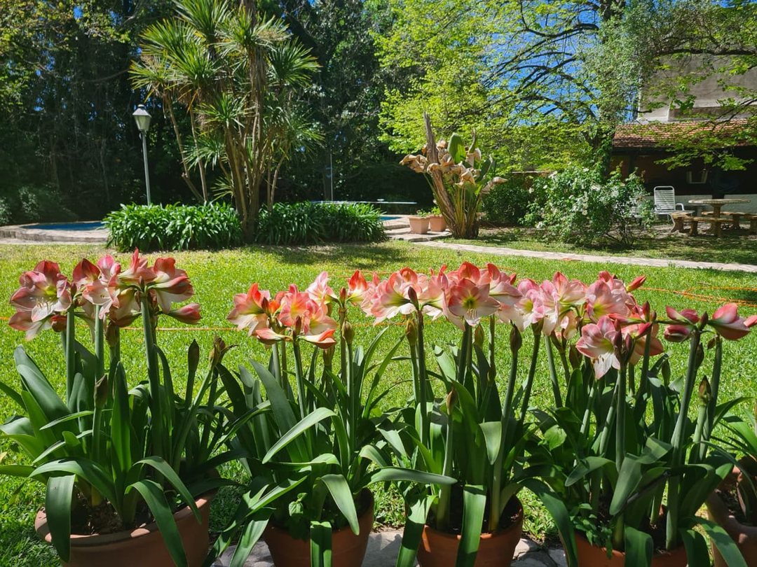 Venta Lote en Pilar Centro de 1520M2
