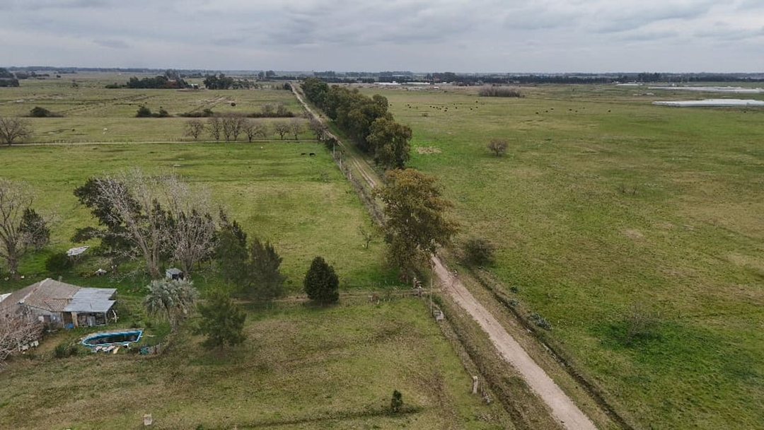 CAMPO 72 HAS ZONA BRANDSEN  AUTODROMO LA PLATA