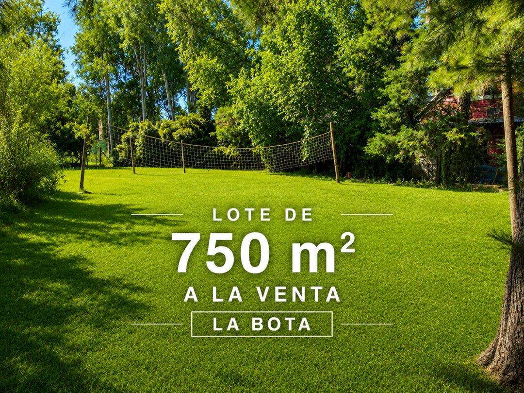 VENTA LOTE LA BOTA INGENIERO MASCHWITZ