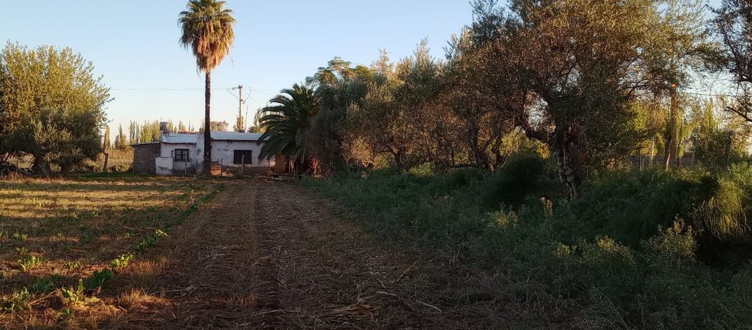 Venta de finca con dos casas mixta,Los corralitos