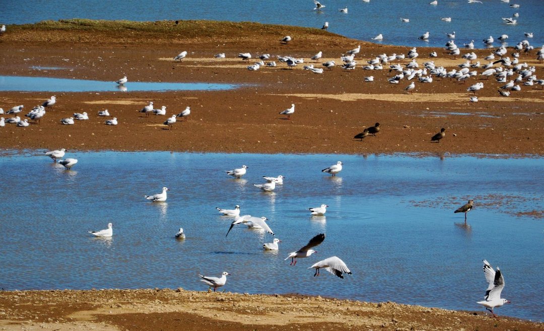 VENTA LOTE LAGUNA DE LAS PAMPAS SAN ANDRES DEGILES