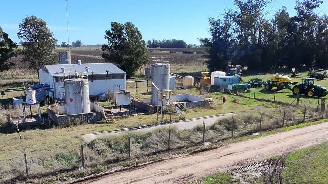 VENTA DE PLANTA OLEAGINOSA EN LOBERÍA
